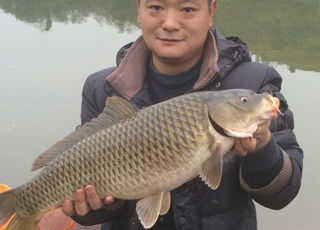 冬季野钓长寿湖 斩青鱼鲤鱼鳊鱼不亦乐乎
