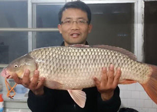 中运河水泥船上钓鱼行 斩获巨鲤鱼潜艇一条