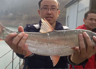 千岛湖（明湖排）上钓鱼乐 钓的红猪鱼破个人纪录