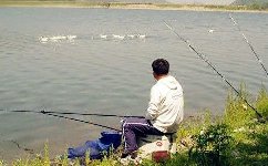 钓鱼与季节的一些关系全解