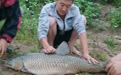 在野生水域钓大鱼的各种技巧分析