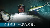 小汐路亚《老鸟菜鸟一路到天明》教新手路亚翘嘴 [视频]