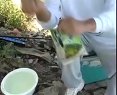 激战赤东湖-老鬼团队疯钓大草鱼(上中下全集视频)