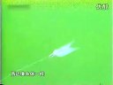 《职场渔乐圈》第020期