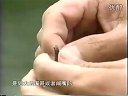《职场渔乐圈》第030期
