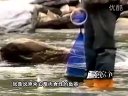 《职场渔乐圈》第029期