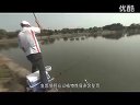 《职场渔乐圈》第081期