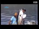 《职场渔乐圈》第120期
