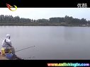 《职场渔乐圈》第162期