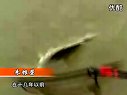 《职场渔乐圈》第183期