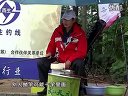 《职场渔乐圈》第176期