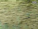 《职场渔乐圈》第194期
