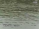 《职场渔乐圈》第202期