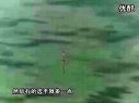 《职场渔乐圈》第217期
