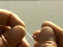 钓鱼高手实用大全17之鲫鱼的钓法[视频]