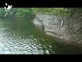 路亚教程之浮水铅笔戏大口鲈 [视频]