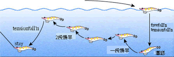路亚木虾钓法拖钓鱿鱼的操作技巧 组图