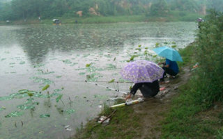 夏天下雨季节的钓鱼忌讳和技巧