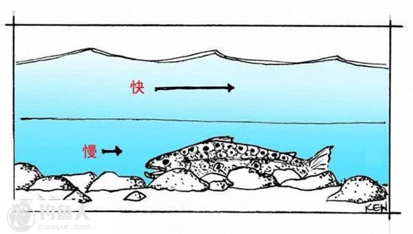 飞蝇溪流钓法之鳟鱼的喜爱标点分析 组图 Stream Bed 河底,河床