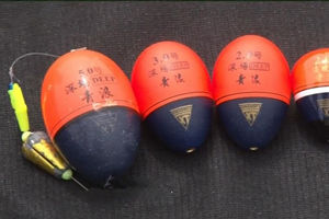《渔乐工作站》浙江行之宁波（二）如何选阿波 [视频]
