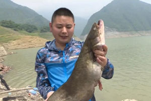 《渔乐工作站》如何使用冰淇淋钓法钓野生大口鲶 [视频]