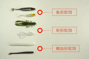 野水路亚之超哥说鱼15 软饵的分类及用法 [视频]