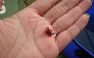 传统朝天钩钓组的制作要点和用法