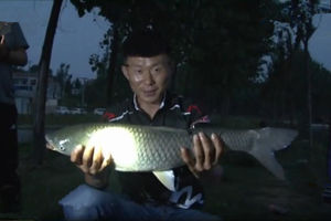 《涉钓英雄传》朱清挑灯征砀山 蟠龙湖夜钓搏大草 [视频]