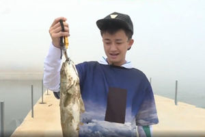 《江湖行》青岛海洋牧场岸钓猎鲈行 [视频]