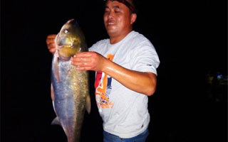 盛夏游走青山绿水间 酣畅淋漓夜战大白鲢