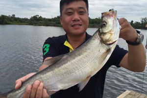 游钓乌苏里第二集 南岛湖野钓英雄争霸赛 [视频]