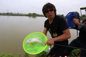 高桥淡水行05期 南昌象湖擒草记 [视频]