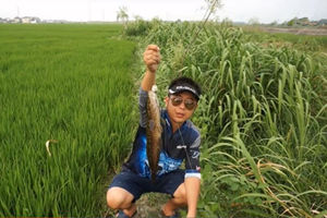 夏季草塘路亚雷强打黑探钓行 斩获五尾黑鱼 [视频]