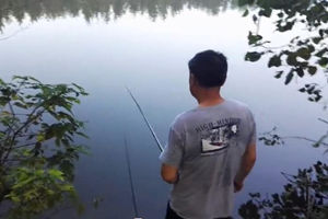 私人鱼塘钓鱼记 夏季树荫下钓黄颡鱼 [视频]