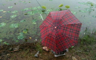 仲秋下雨天钓鱼的选时选饵及钓法