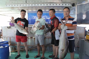 虾饵钓章红金枪 南海油田深海猎鱼记 [视频]