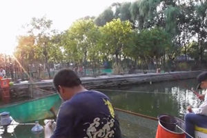 地瓜钓鱼：北京速钓俱乐部钓鲫大比拼 [视频]
