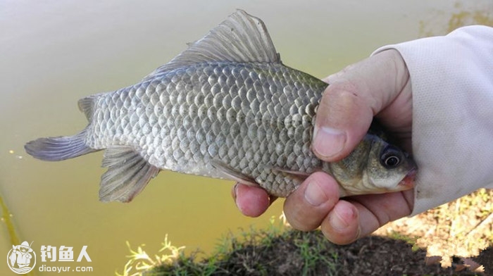 20160919143650VHBb79.jpg