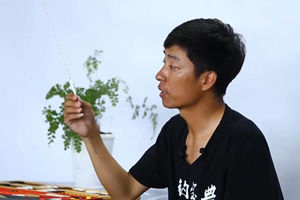 浮漂入门 新手如何选择以及使用浮漂 [视频]