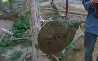 孩童时期的钓趣记忆