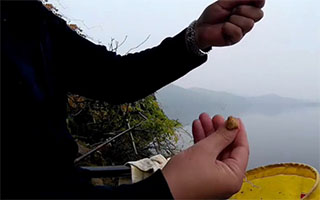 搓饵快速上饵手法，搓饵做窝搏鲤实战 [视频]