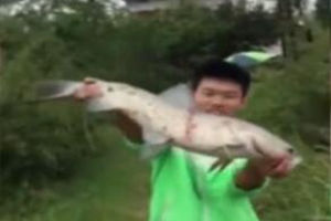 饵目一新26：气温突降如何抓住上鱼时机 [视频]