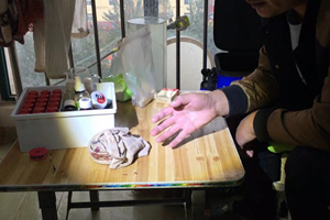 黑坑钓鲫鱼技巧及小药开饵大解析（下） [视频]