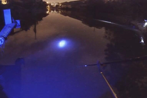 钓鱼实战（十）码头夜钓鲫鱼遇到上鱼窗口期 [视频]