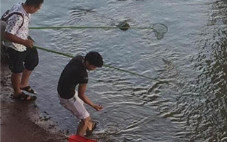东江石龙电鱼人忙 断子绝孙可举报