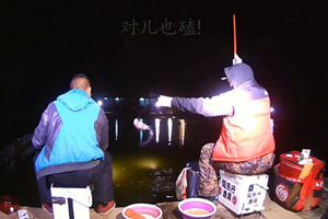 秋末冬初夜钓飞嗑大鲫鱼 飞双尾不停口 [视频]