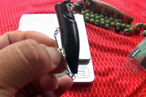 鲈业部：装备篇 点评MEGABASS2015小波爬 [视频]