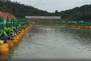 《鱼资渔味》第20161115期  第26届广东省钓鱼锦标赛 [视频]