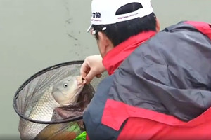 《钓具首测》范宁教你如何选择黑坑鲤鱼饵料 [视频]