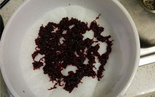 让红虫“永葆青春”的保养小诀窍